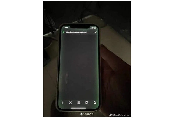 iPhone 12 Users Complains Of Screen Issues display turns green 2