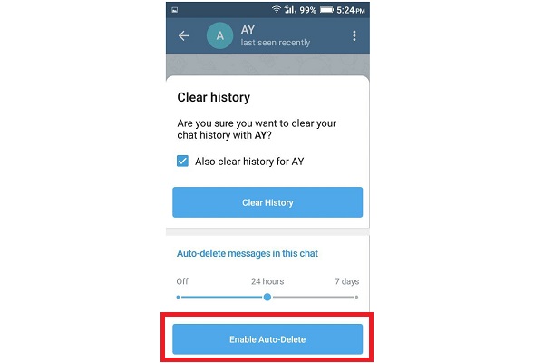 Auto Delete Messages in Telegram Personal Chats 1