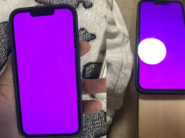 iPhone 13 Pink Screen Issue