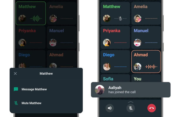 WhatsApp gets mute button for group voice call participants