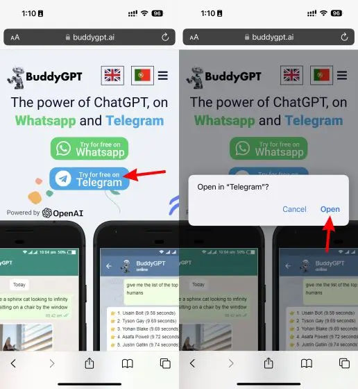 Use ChatGPT on Telegram Using BuddyGPT